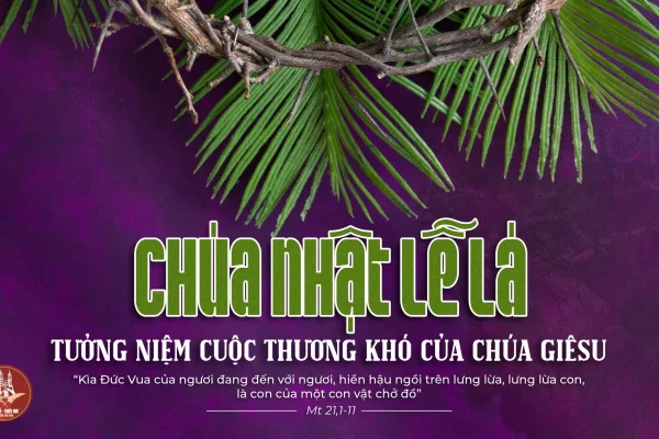 Chia sẻ Lời Chúa - Chúa Nhật Lễ Lá Năm A