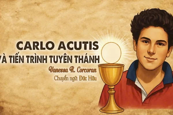 Carlo Acutis và Tiến Trình Tuyên Thánh