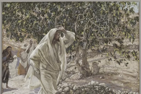 Thứ Bảy tuần 23 Thường niên (Lc 6,43-49)