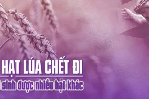 Chúa Nhật V Mùa Chay - Lm Giuse Trần Xuân Chiêu