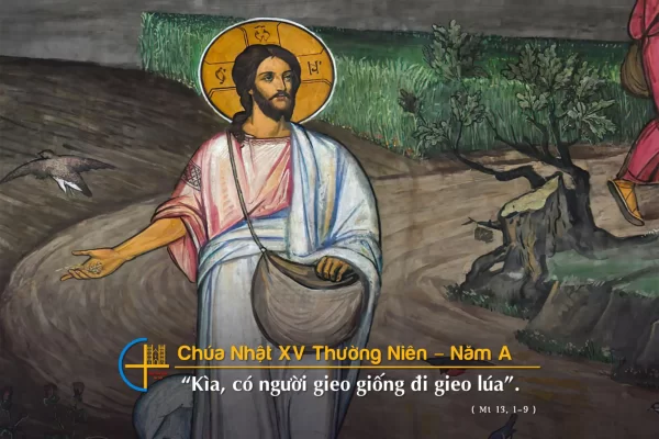 Chia sẻ Lời Chúa - Chúa Nhật XV Thường Niên Năm A