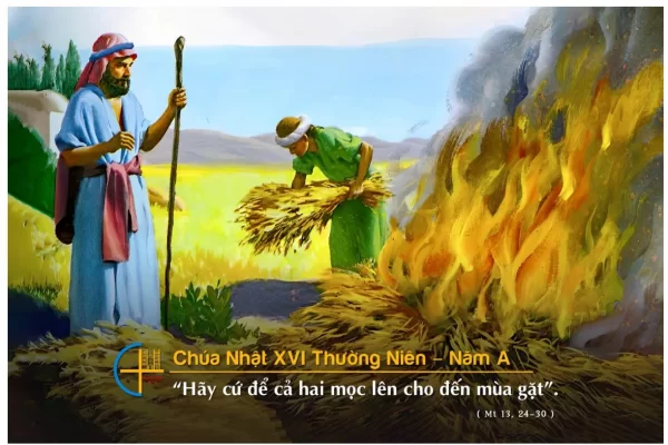 Chia sẻ Lời Chúa - Chúa Nhật XVI Thường Niên A