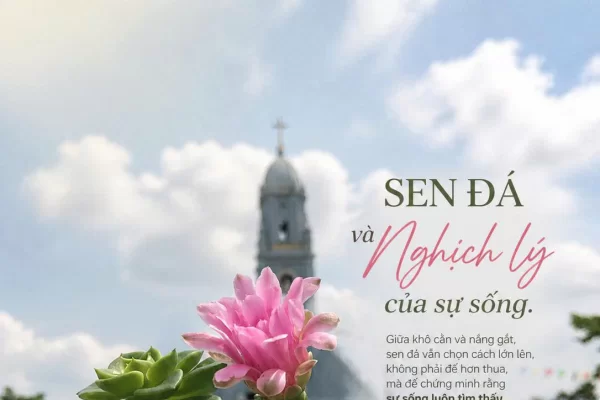 Sen đá và nghịch lý của sự sống