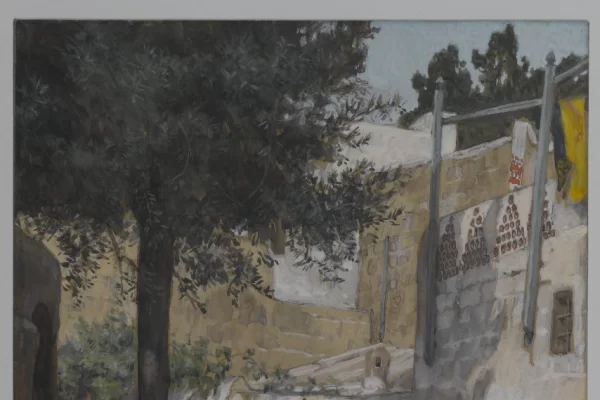 Thứ Sáu tuần 12 Thường niên năm II (Mt 8,1-4)