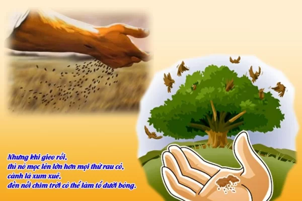Thứ Hai tuần 17 Thường niên - Sức sống bên trong (Mt 13,31-35)